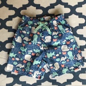 Adorable Gymboree swim trunks